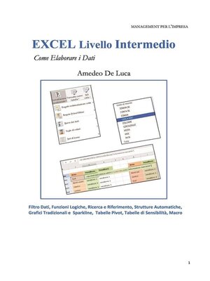 cover image of EXCEL Livello Intermedio